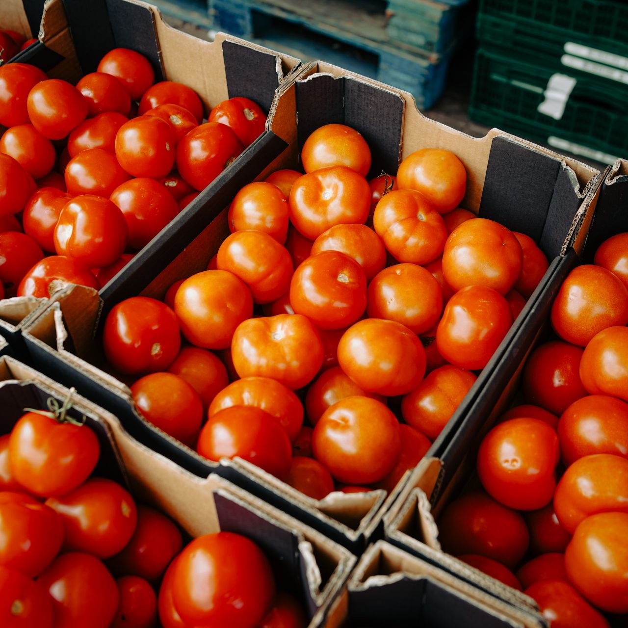 Fresh tomatoes at Aliman Markt